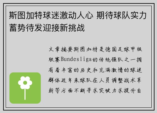 斯图加特球迷激动人心 期待球队实力蓄势待发迎接新挑战